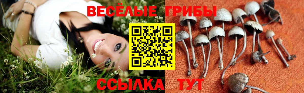 Галлюциногенные грибы ЛСД Электросталь